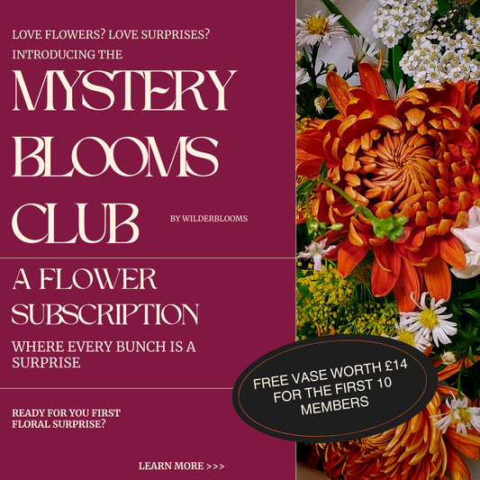 Launch of the Mystery Blooms Club