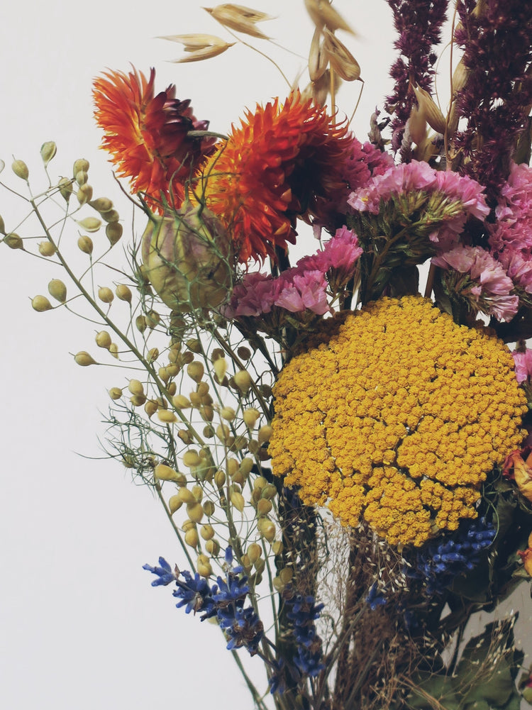 british grown dried flowers on a white background. Sustianble flowers pictured are yellow, pink, blue and orange