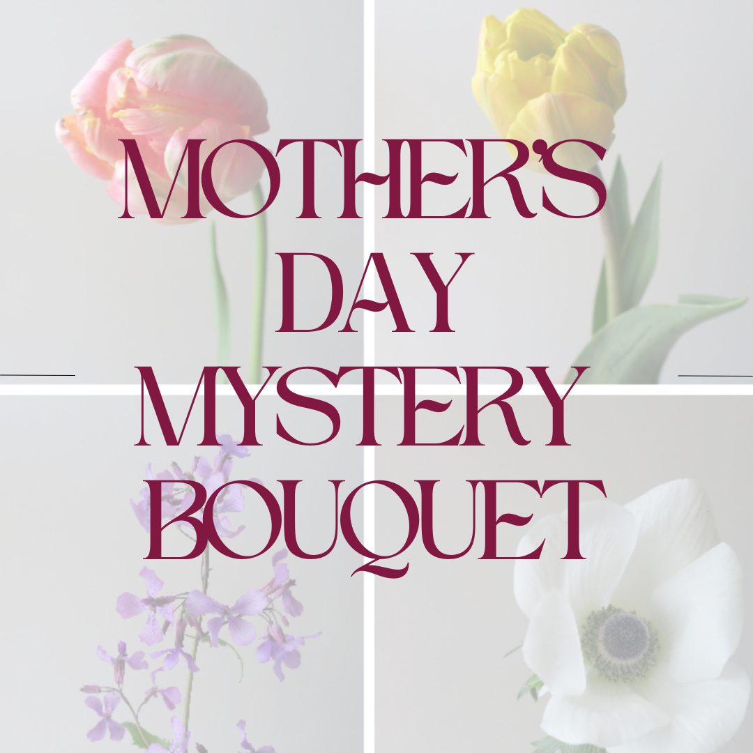 Mystery Bouquet - MOTHERS DAY PRESALE