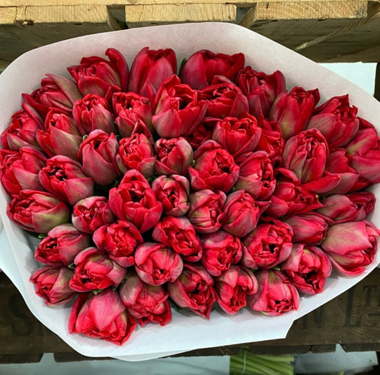 not "Red Roses" (Valentine's Day pre-order)