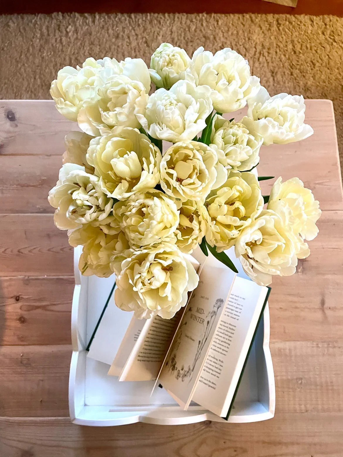 Avant Garde Tulips - MOTHERS DAY PRE-ORDER