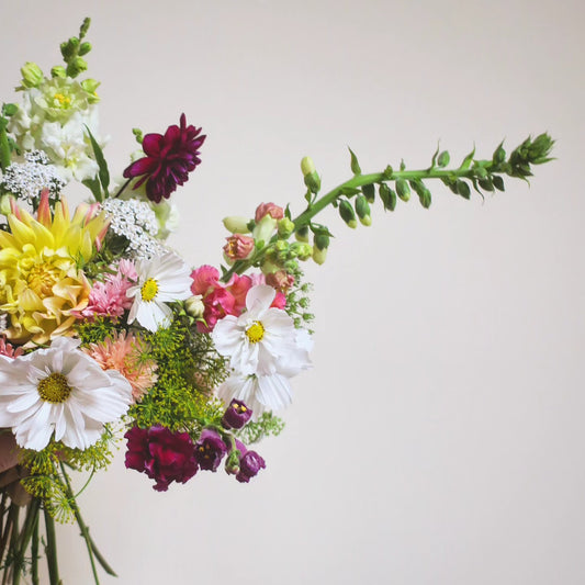 Florist's Choice Bunch