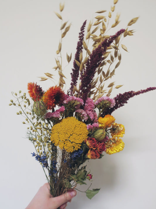 Autumnal Dried Flowers