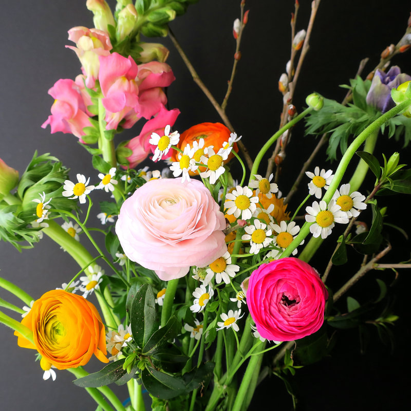 A bunch of sustainable flowers. Locally grown snap dragons, ranunculus, anenomes and feverfew stand our vibrant on a black background